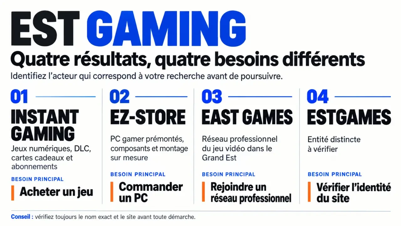 Infographie est gaming pour distinguer Instant Gaming, EZ-Store, East Games et Estgames
